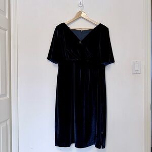 Vintage Royal Blue Velvet Dress